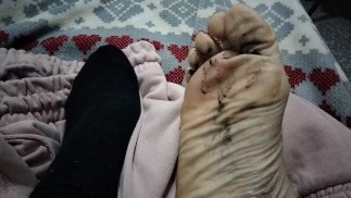 My dirty and sweaty feet in black socks!