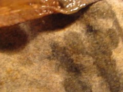 FUCVph4 Nika Chanel's 3rd official cumshot - FULL SESSION