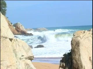 Hung stud fucks chick with nice round ass doggy style