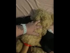 Naughty teddy bear