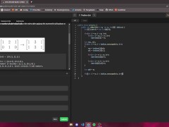 Zooming throught leetcode's ass - Coding (ASMR) Leetcode easy #1