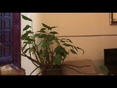 BIGGEST AND LONGEST EXPLOSIVE CUMSHOT EVER. I CHALLENGE YOU TO SHOW ME A BETTER ONE ;)