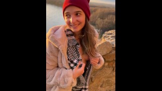 在公共场合闪现的山雀