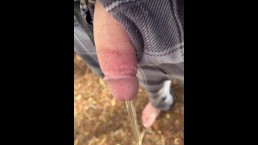 Eine fette Pisse in der Öffentlichkeit