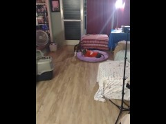 Kitten thinks doggy is weird