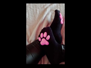 私の甘い猫の足(diashow)