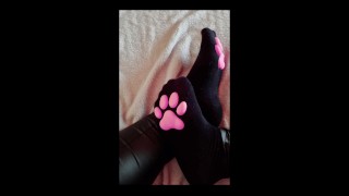 my sweet cat paw (Diashow)