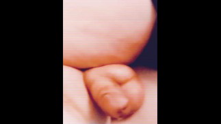 复古脱衣舞和独奏