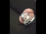 Chastity cage