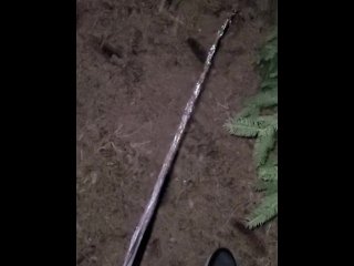 Pissing In The Forest