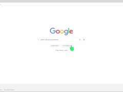 Link to Python official documentation - Screenshot 13 of 16 - Snake