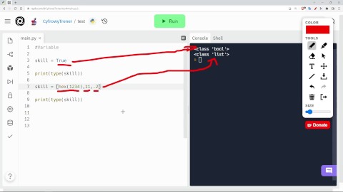 Python Variable - step by step