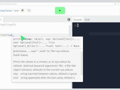 Python Conditionals/Loops - step by step - Screenshot 2 of 16 - Coach