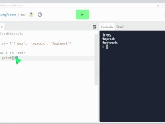 Python Conditionals/Loops - step by step - Screenshot 8 of 16 - Teacher