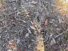 Piss compilation - Screenshot 2 of 16 - Paro