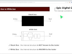 Black box vs White box