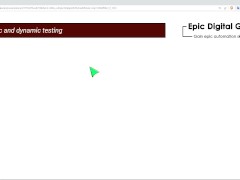 Static vs Dynaimic testing - Screenshot 7 of 16 - Programming