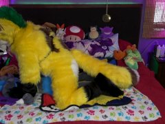 240px x 180px - Fursuit Furries Furry Gay Plushie Plushophilia Videos and Porn Movies ::  PornMD