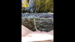 Золотые капли мочи в морскую воду в тропической природе