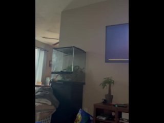 Quick nut before the game starts