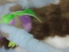 I cum on Spike plush