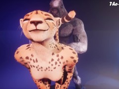 The Sexy Kitten - Wild Life 4K