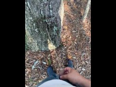 Pissing on and off a tree! Gone right ! - Screenshot 11 of 16 - Parodius