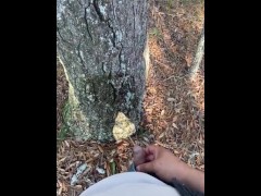 Pissing on and off a tree! Gone right ! - Screenshot 14 of 16 - Wendel