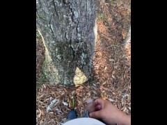 Pissing on and off a tree! Gone right ! - Screenshot 15 of 16 - Vaan