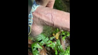 Slow motion cock and nature