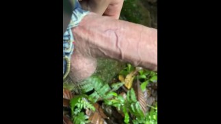 慢动作公鸡和自然