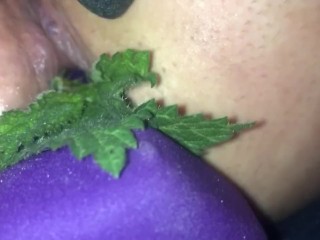 1公斤哑铃塞满我是我的屁股，燃烧的荨麻，疼痛的肛门