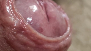 Voorhuid close up en masturbatie