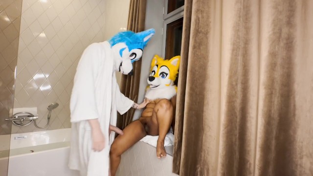 Sexy Furry Couple makes Love at Hotel â¤ï¸ - Pornhub.com