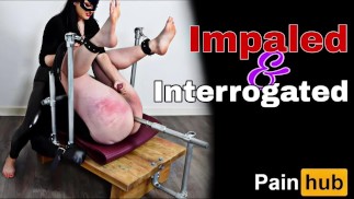 Femdom Bondage Bank Folter Auspeitschen Arschhaken Metall Dildo Möbel Peitschen BDSM Disziplin