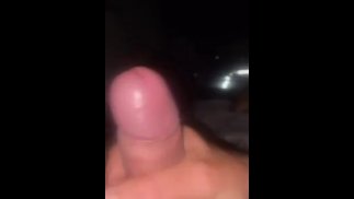 ОгромныйКамшот