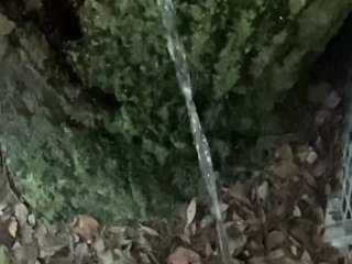 Pissing on trees ! Much hot piss !