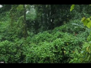 F2v video uploaded from MH #1