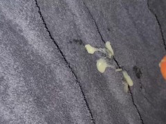 Small Cumshot - Screenshot 8 of 16 - Hot Cumshot