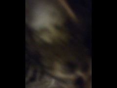 Cute Kittens Wants To Be Famous