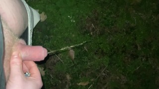 ¡Lanzamiento de orina en el bosque! ¿Qué más puedo hacer en el bosque?