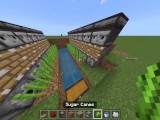How To Build An Automatic Sugar Cane Farm