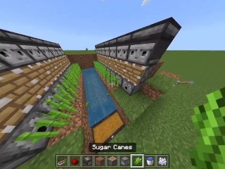 Cómo Construir Una Granja De Sugar Cane Automática