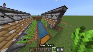 How To Construct An Automated Sugar Cane Farm