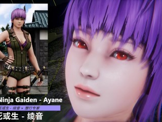 DOA × Ninja Gaiden - Ayane × Infiltrator