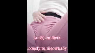 紧身瑜伽紧身裤中的特写猫