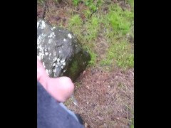 Pissing and jerking off in a busy Walmart parking lot