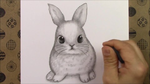 Comment dessiner une jolie vidéo de dessin de crayon de lapin