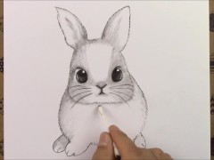 How to draw cute rabbit pencil drawing video