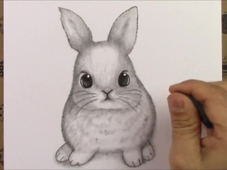Cómo Dibujar Lindo Lápiz De Conejo Dibujo Video